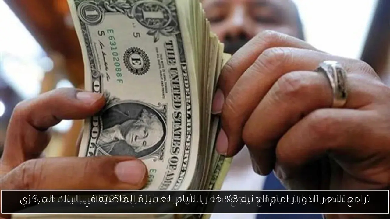 تراجع سعر الدولار أمام الجنيه 3% خلال الأيام العشرة الماضية في البنك المركزي