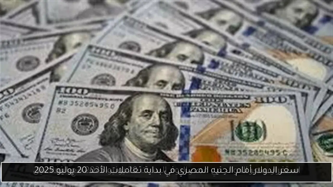 سعر الدولار أمام الجنيه المصري في بداية تعاملات الأحد 20 يوليو 2025