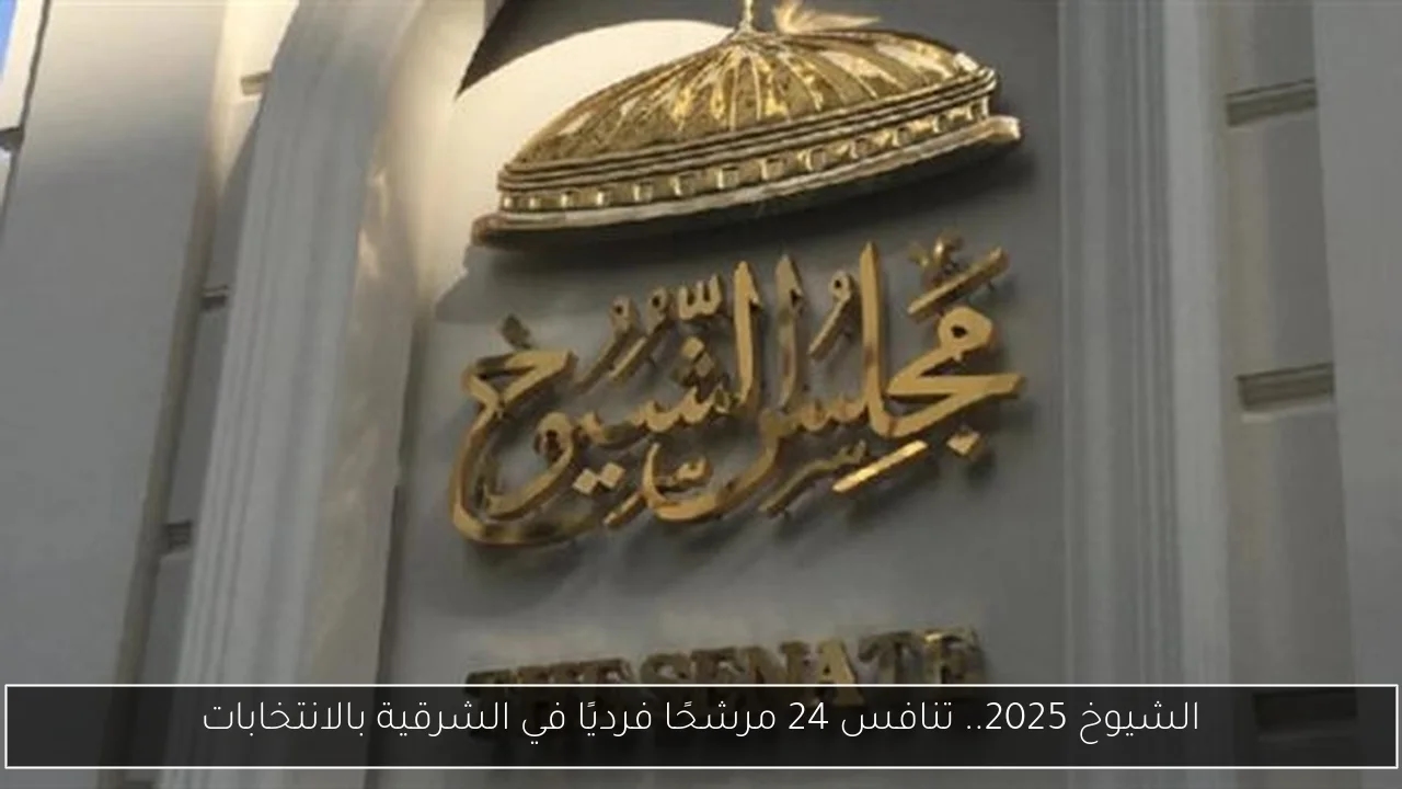 الشيوخ 2025.. تنافس 24 مرشحًا فرديًا في الشرقية بالانتخابات