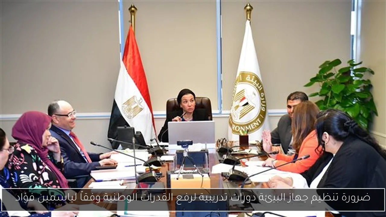 ضرورة تنظيم جهاز البيئة دورات تدريبية لرفع القدرات الوطنية وفقاً لياسمين فؤاد