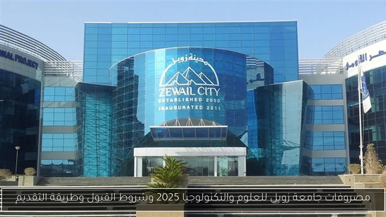 مصروفات جامعة زويل للعلوم والتكنولوجيا 2025 وشروط القبول وطريقة التقديم