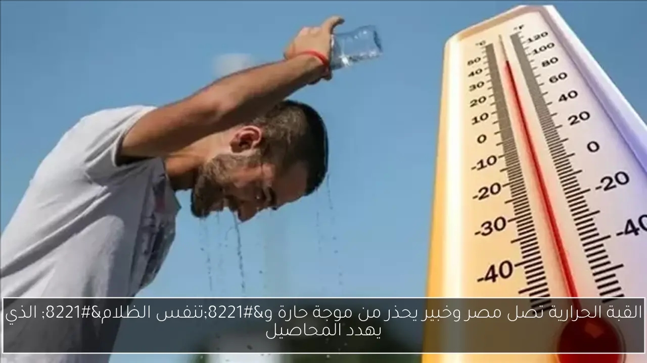 القبة الحرارية تصل مصر وخبير يحذر من موجة حارة و'تنفس الظلام' الذي يهدد المحاصيل
