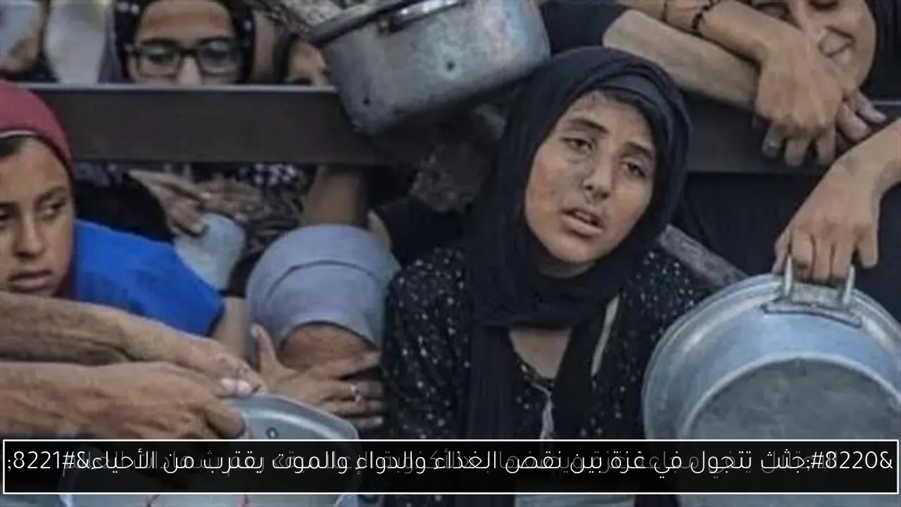 'جثث تتجول في غزة بين نقص الغذاء والدواء والموت يقترب من الأحياء'
