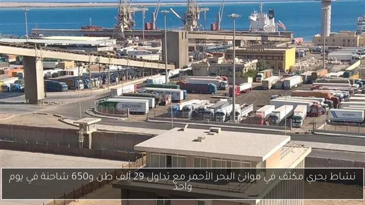 نشاط بحري مكثف في موانئ البحر الأحمر مع تداول 29 ألف طن و650 شاحنة في يوم واحد