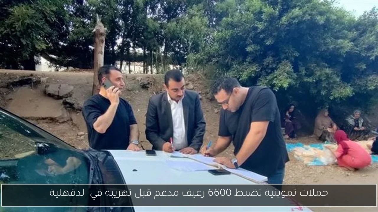 حملات تموينية تضبط 6600 رغيف مدعم قبل تهريبه في الدقهلية