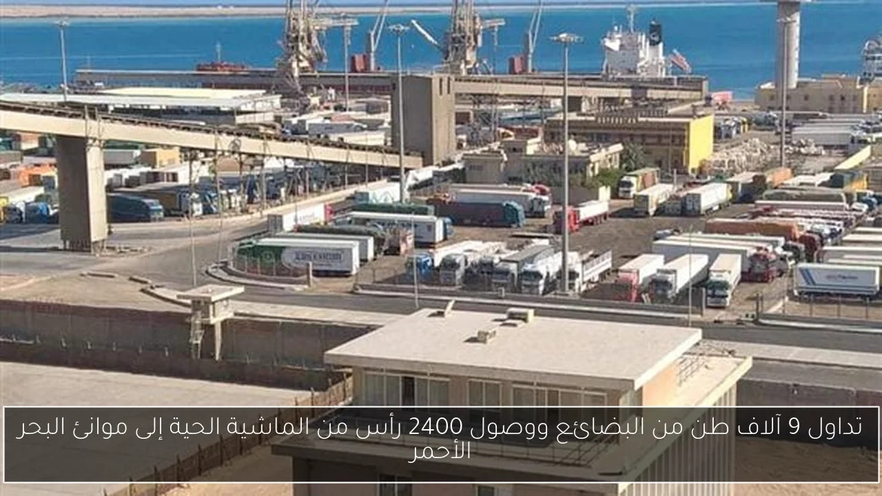 تداول 9 آلاف طن من البضائع ووصول 2400 رأس من الماشية الحية إلى موانئ البحر الأحمر