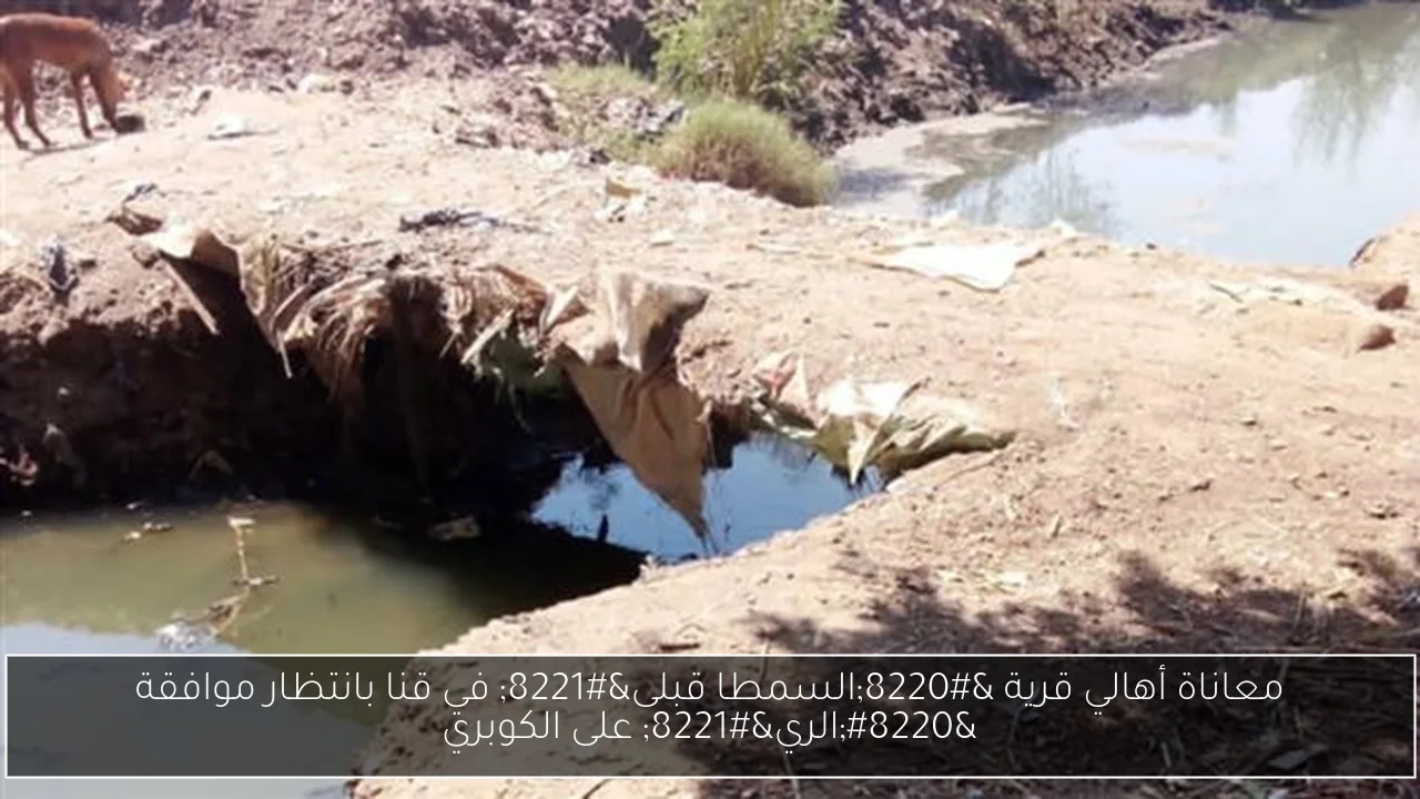 معاناة أهالي قرية 'السمطا قبلى' في قنا بانتظار موافقة 'الري' على الكوبري