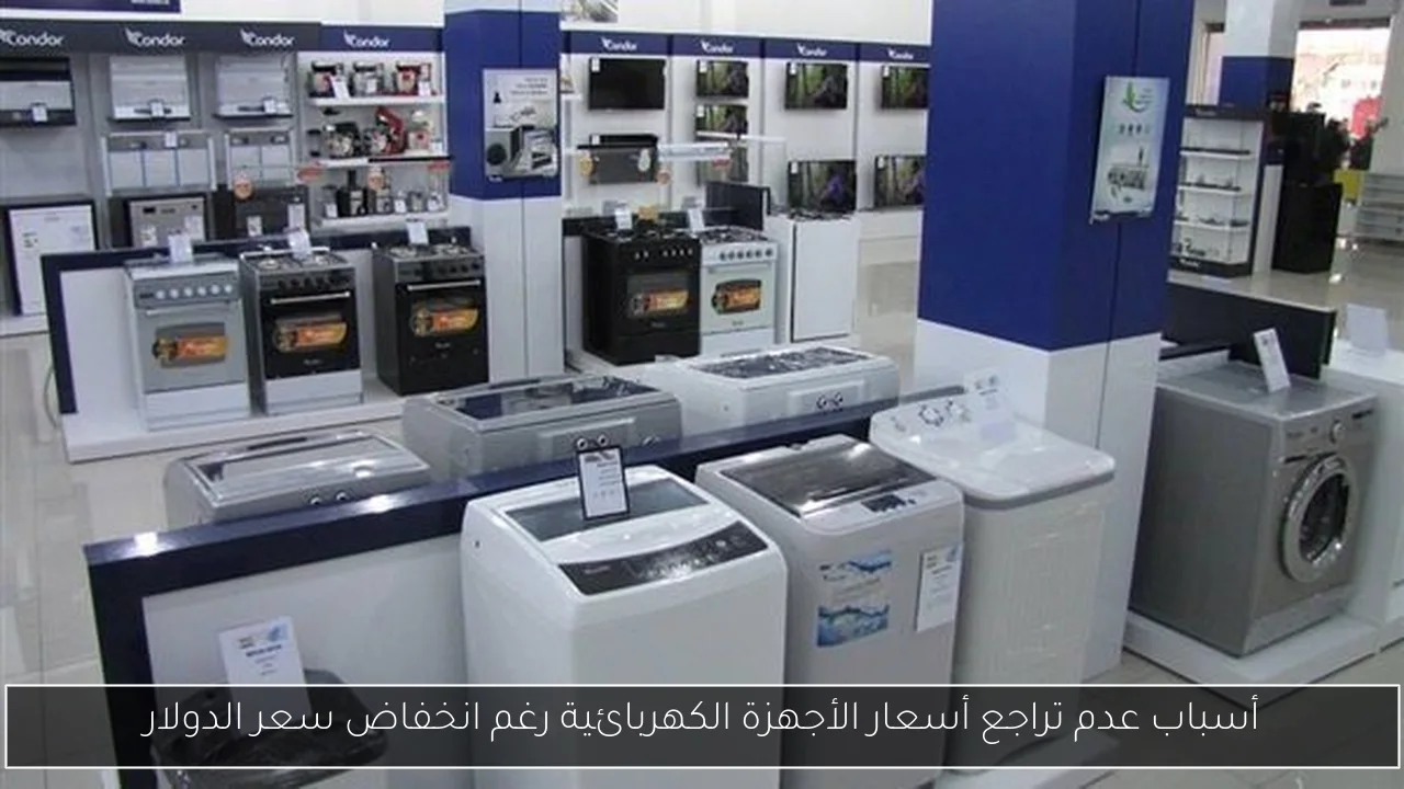 أسباب عدم تراجع أسعار الأجهزة الكهربائية رغم انخفاض سعر الدولار