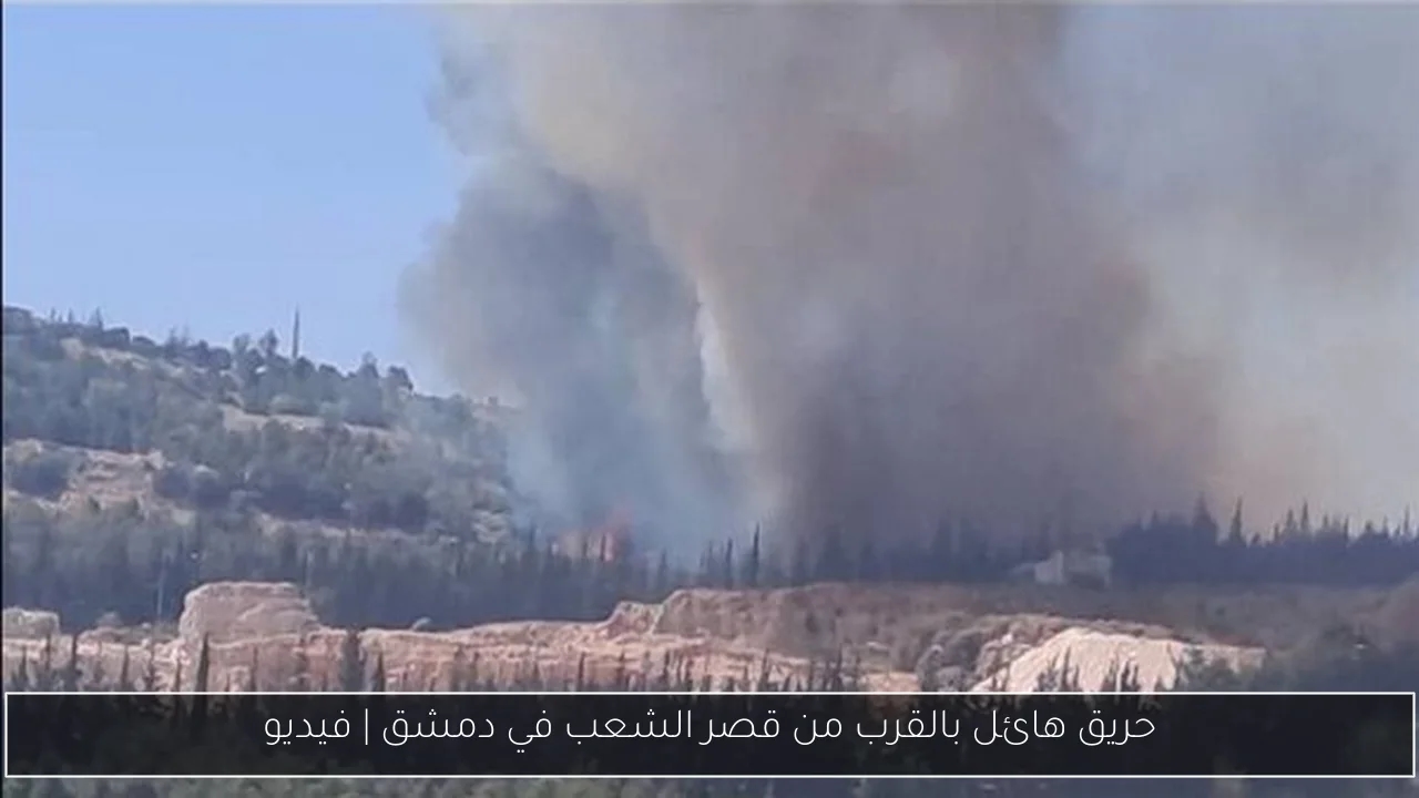 حريق هائل بالقرب من قصر الشعب في دمشق