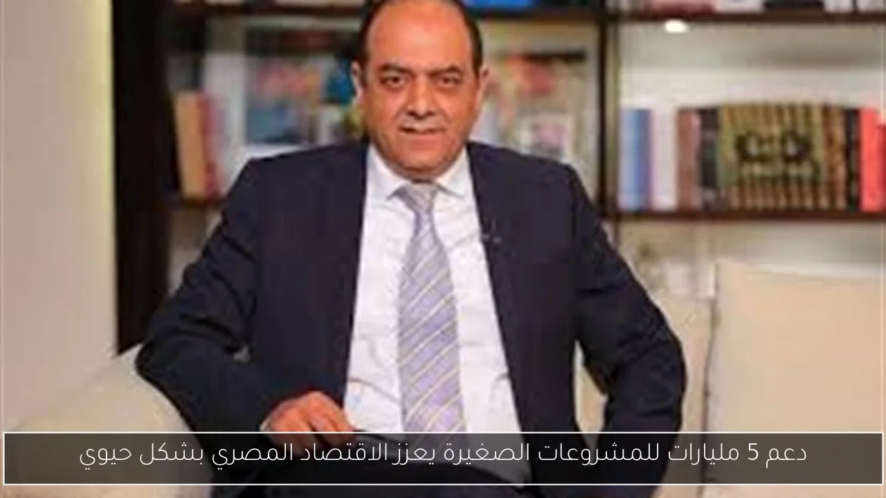 دعم 5 مليارات للمشروعات الصغيرة يعزز الاقتصاد المصري بشكل حيوي