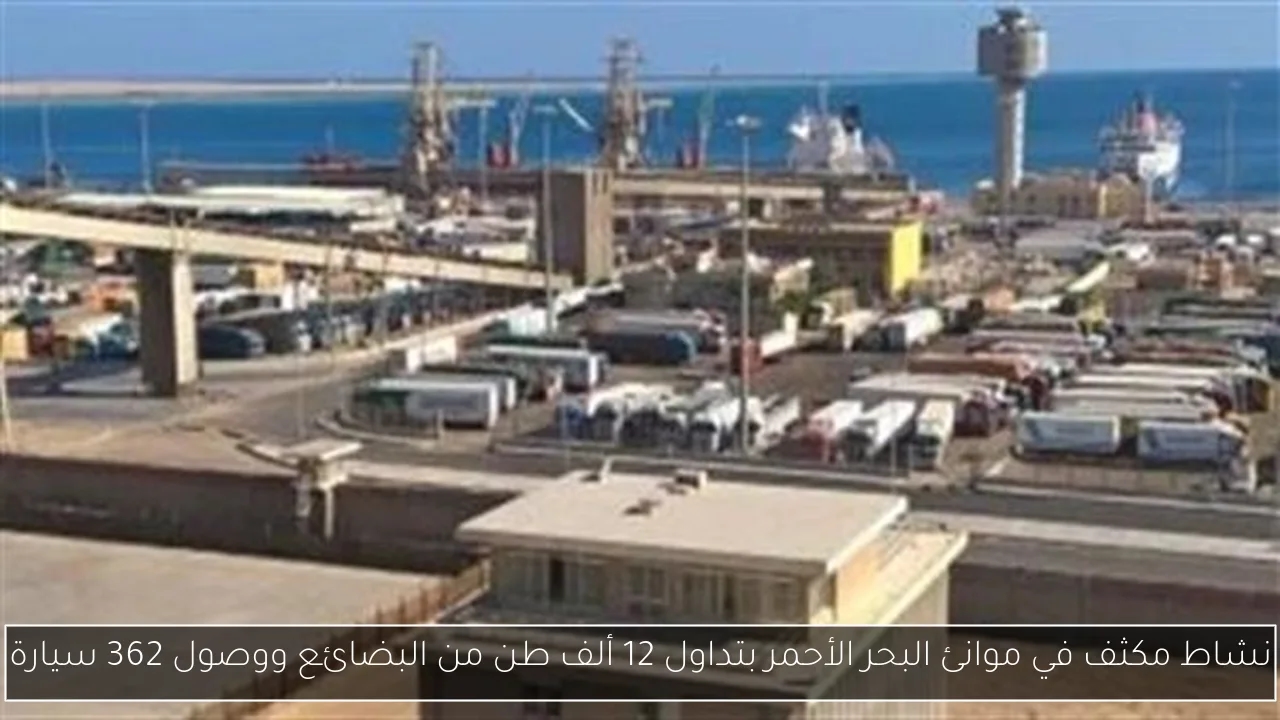 نشاط مكثف في موانئ البحر الأحمر بتداول 12 ألف طن من البضائع ووصول 362 سيارة