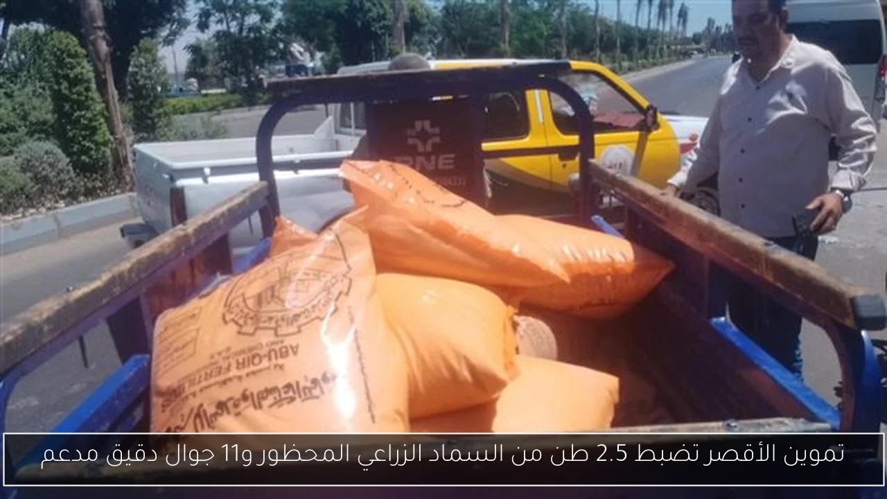 جهاز 6 أكتوبر الجديدة يحدد مواعيد محددة لاستقبال معاملات المواطنين في جميع القطاعات
