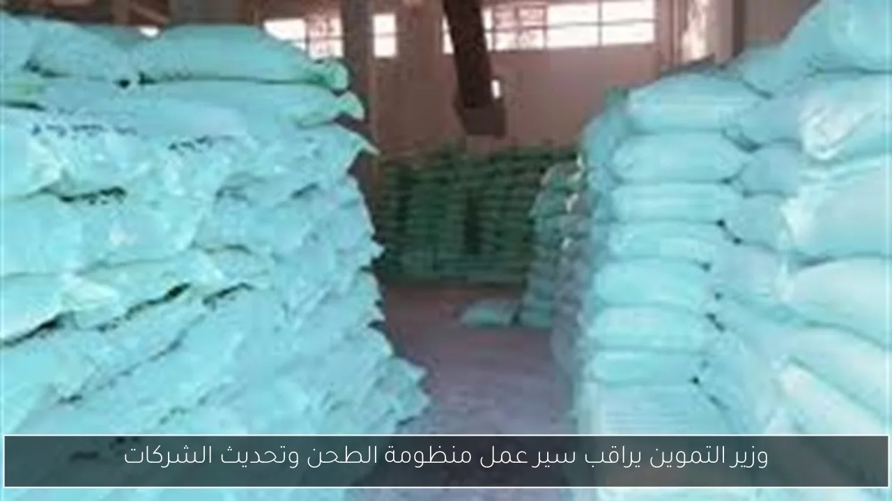 وزير التموين يراقب سير عمل منظومة الطحن وتحديث الشركات