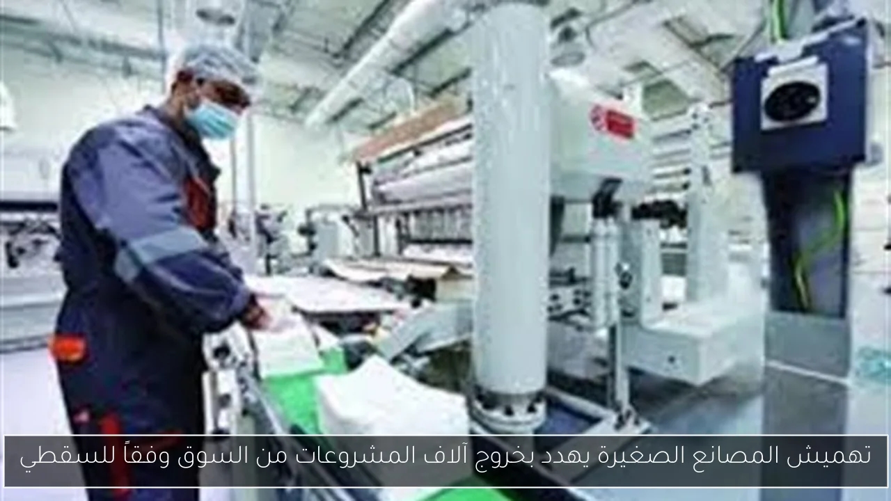 تهميش المصانع الصغيرة يهدد بخروج آلاف المشروعات من السوق وفقاً للسقطي