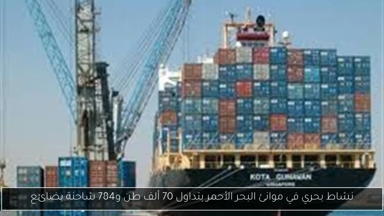 نشاط بحري في موانئ البحر الأحمر بتداول 70 ألف طن و784 شاحنة بضائع