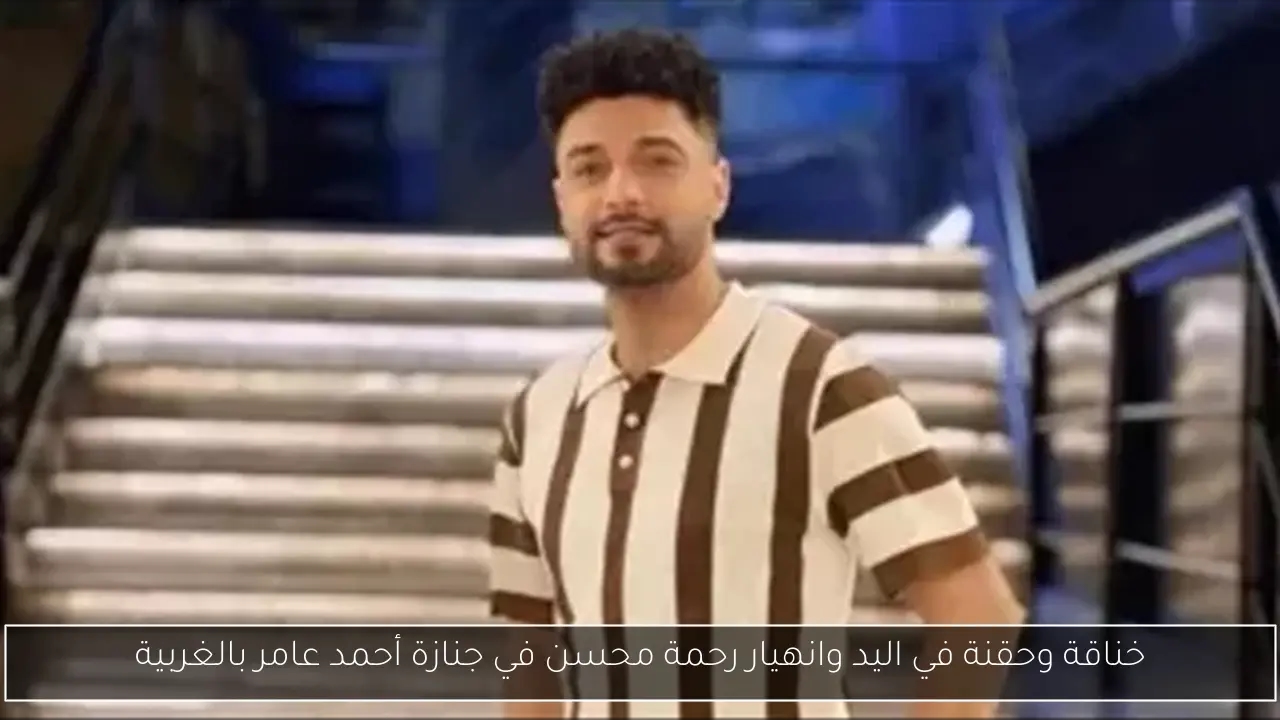 تطبيق إلكتروني في محافظة الدقهلية لاستقبال شكاوى تجمعات القمامة لتحسين الشوارع