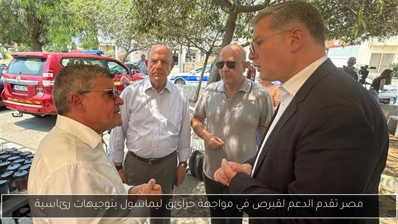 مصر تقدم الدعم لقبرص في مواجهة حرائق ليماسول بتوجيهات رئاسية