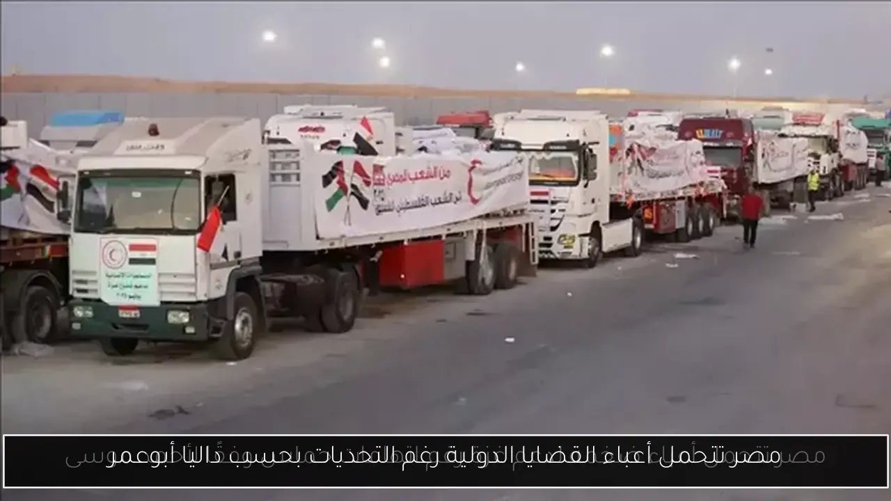 مصر تتحمل أعباء القضايا الدولية رغم التحديات بحسب داليا أبوعمر
