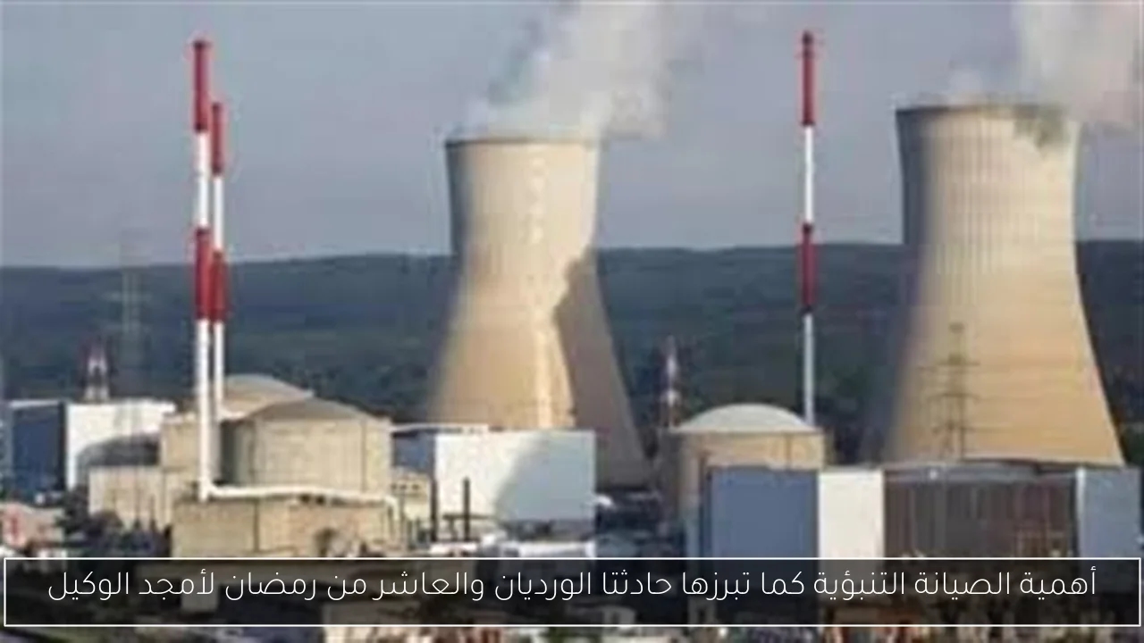 رضوى الشربيني تتألق في برنامج هي وبس بعودة مميزة تستحق الإشادة