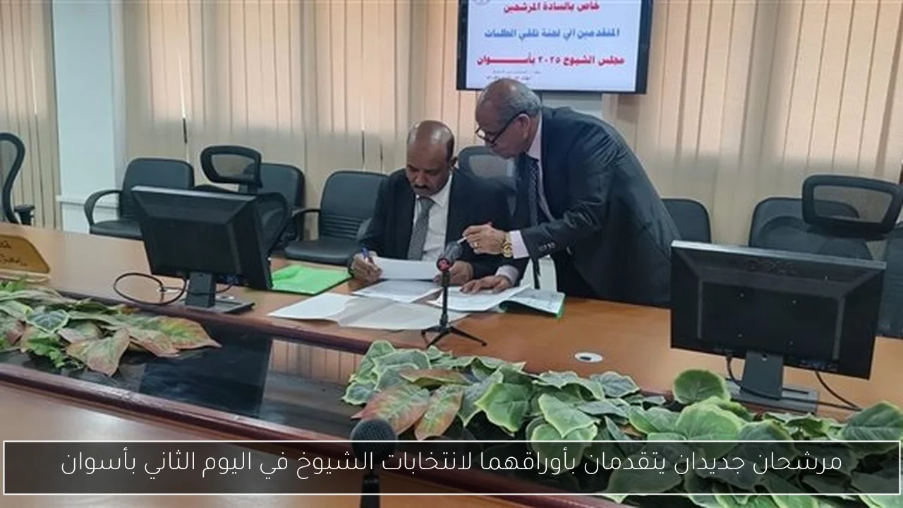أنوسة كوتة تهاجم صناع العمل بسبب الذوق العالي وجمهور تامر حسني يتصدى للدفاع
