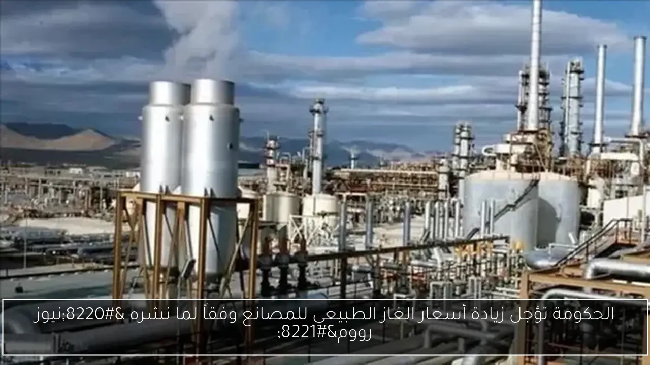 الحكومة تؤجل زيادة أسعار الغاز الطبيعي للمصانع وفقاً لما نشره 'نيوز رووم'