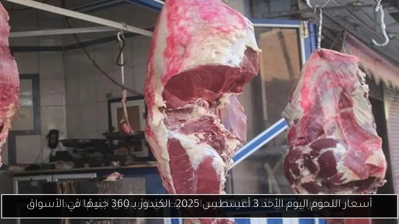 أسعار اللحوم اليوم الأحد 3 أغسطس 2025: الكندوز بـ 360 جنيهًا في الأسواق