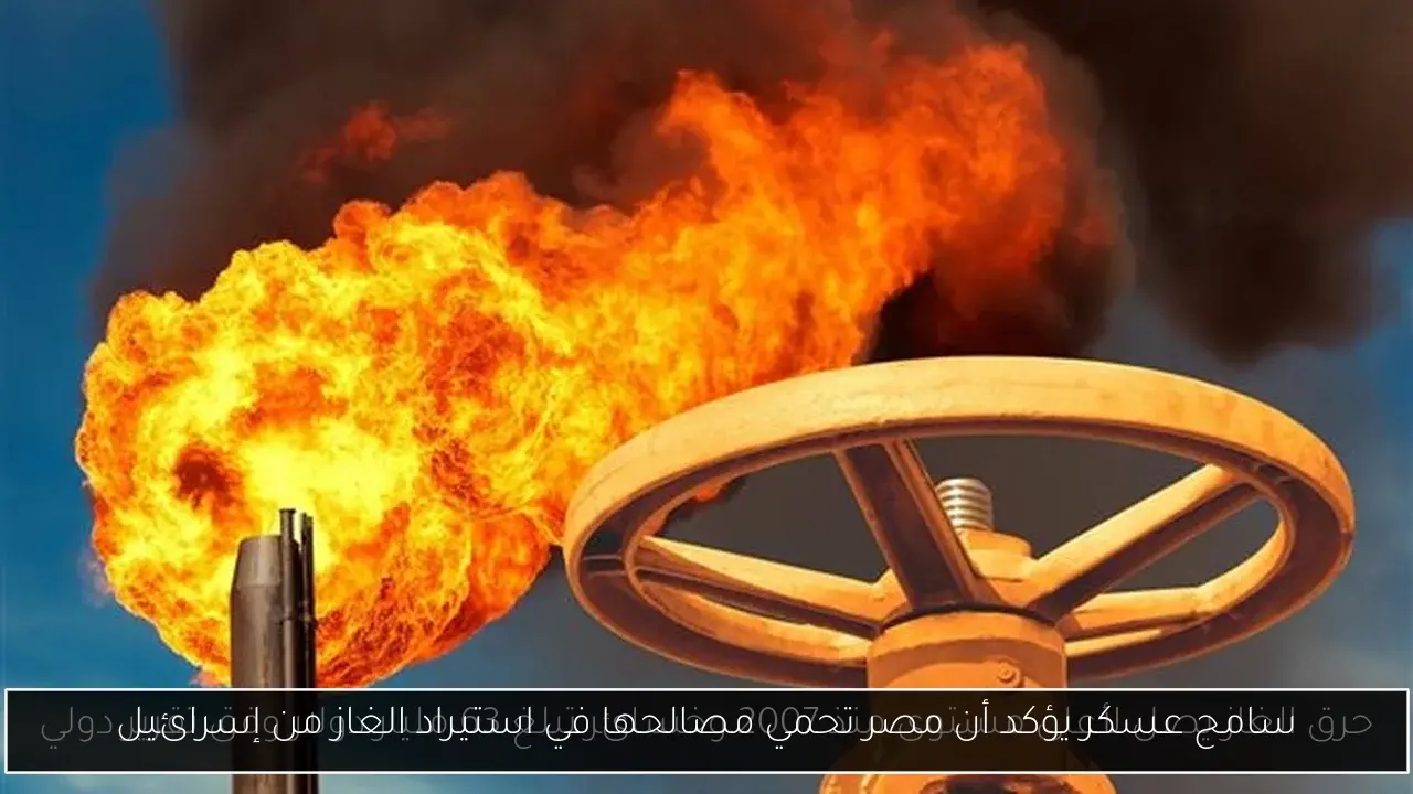 سامح عسكر يؤكد أن مصر تحمي مصالحها في استيراد الغاز من إسرائيل