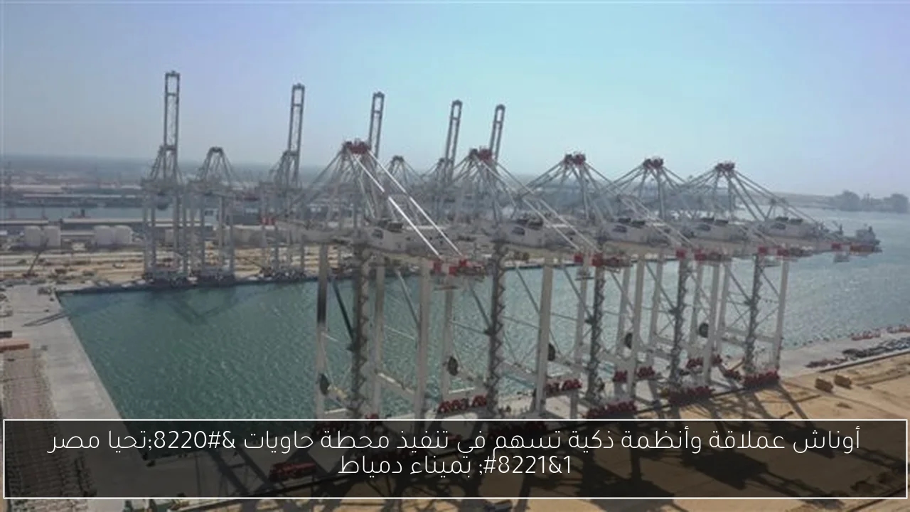 أوناش عملاقة وأنظمة ذكية تسهم في تنفيذ محطة حاويات 'تحيا مصر 1' بميناء دمياط