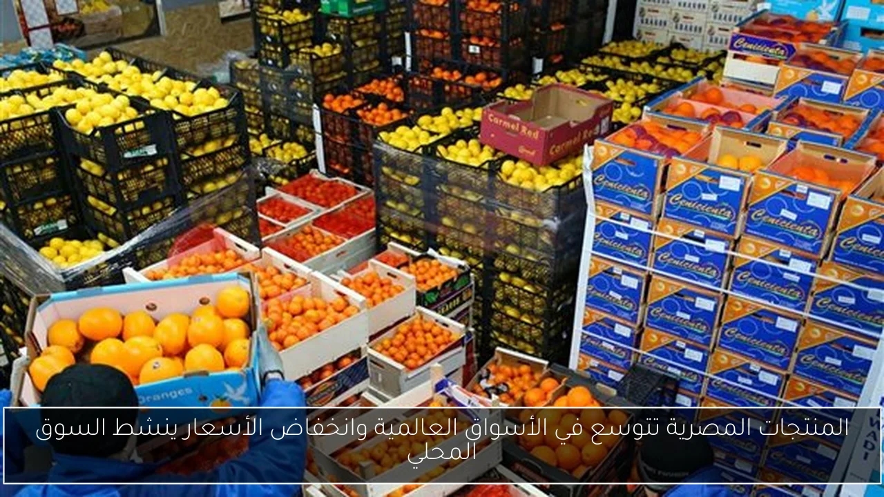 المنتجات المصرية تتوسع في الأسواق العالمية وانخفاض الأسعار ينشط السوق المحلي