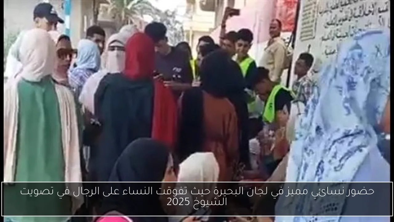 شروط حفلة عمرو دياب في مهرجان العلمين قبل انطلاقها
