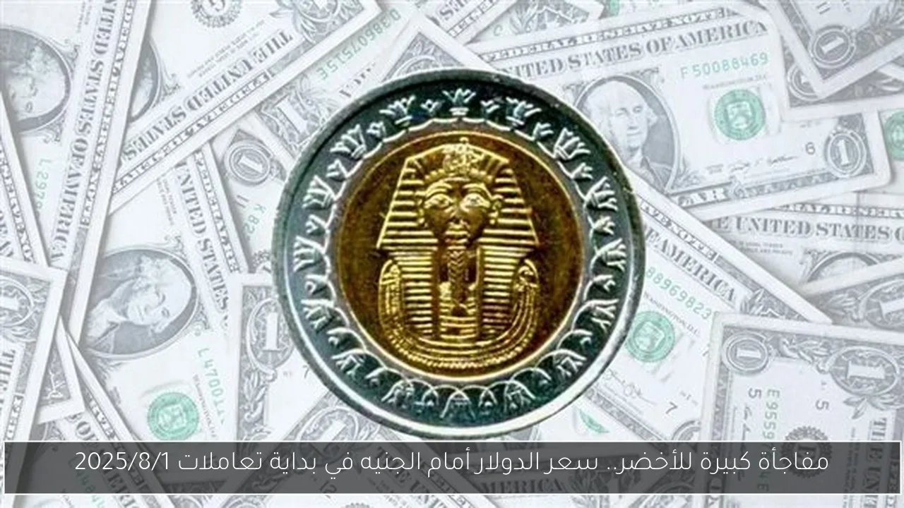 مفاجأة كبيرة للأخضر.. سعر الدولار أمام الجنيه في بداية تعاملات 2025/8/1