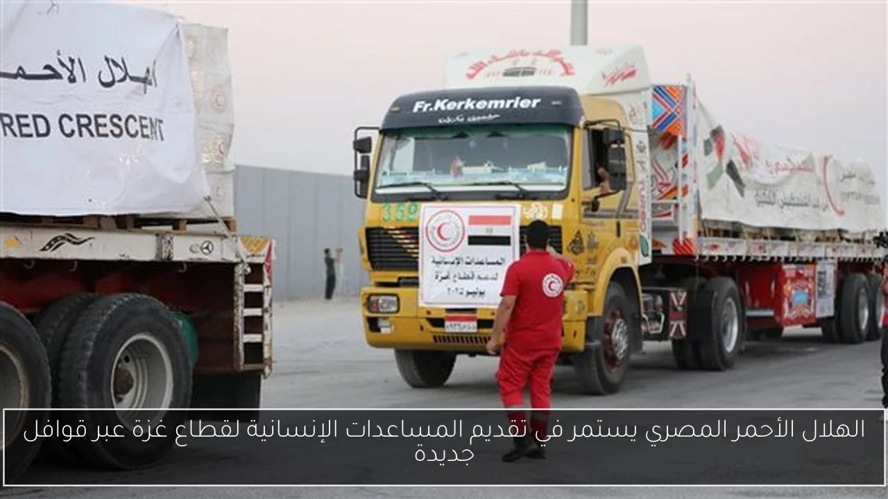 الهلال الأحمر المصري يستمر في تقديم المساعدات الإنسانية لقطاع غزة عبر قوافل جديدة