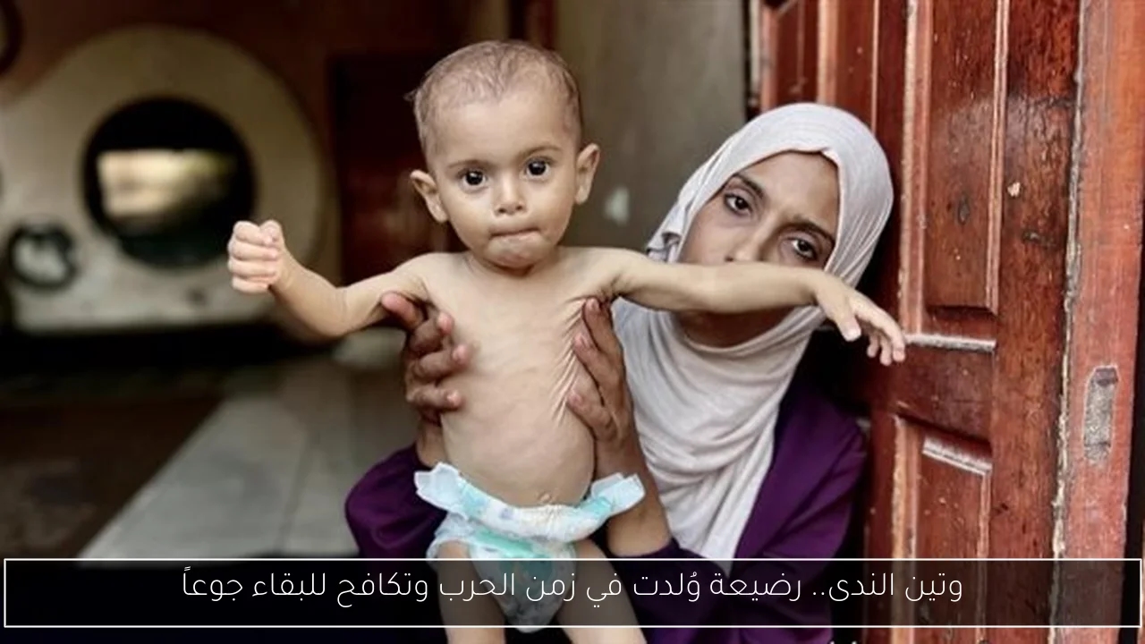 شريف أم جراديشار؟ ريبيرو يحدد مهاجم الأهلي في مواجهة مودرن سبورت