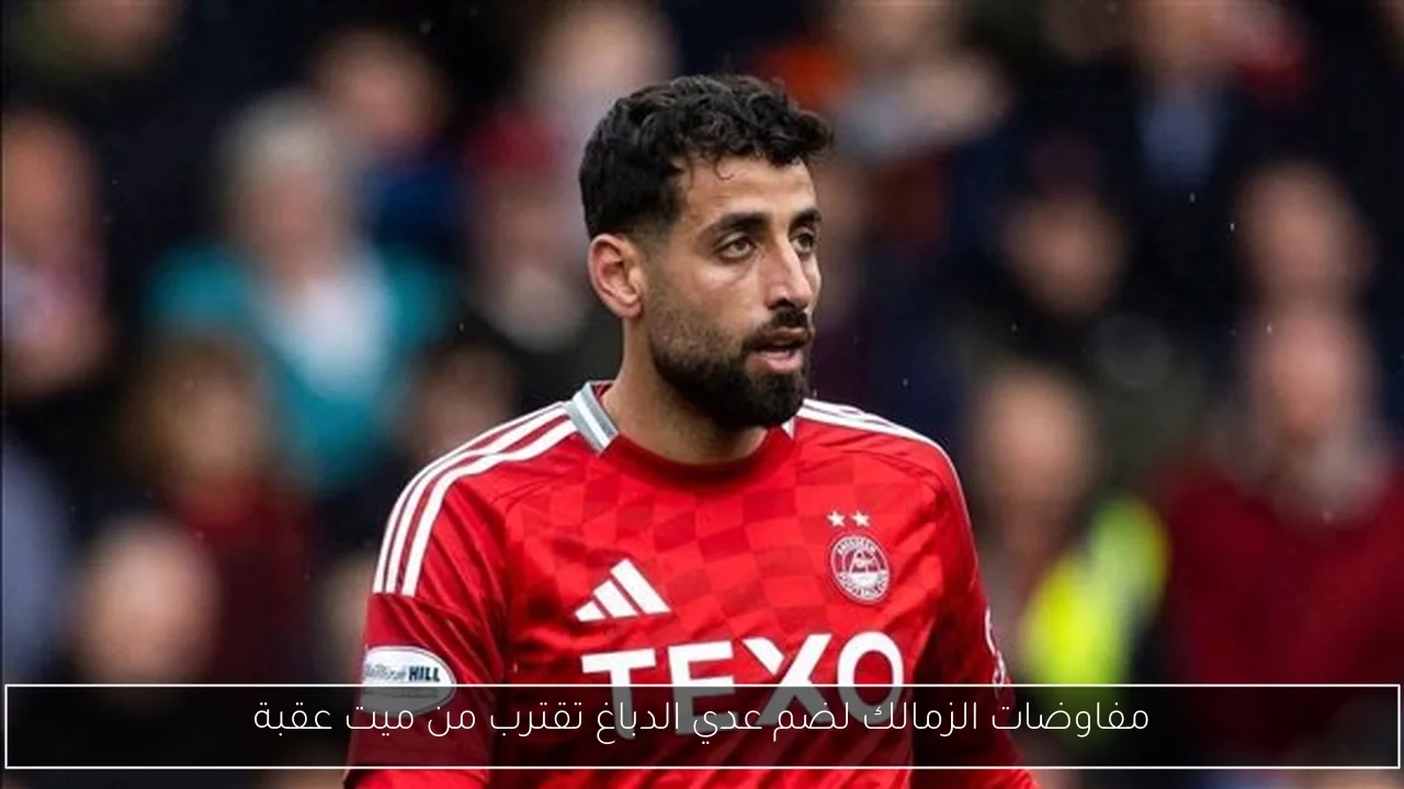 بدرية طلبة تدافع عن صناع المحتوى بعد القبض على 'مداهم' وتقول: 'الحق بيزعل'