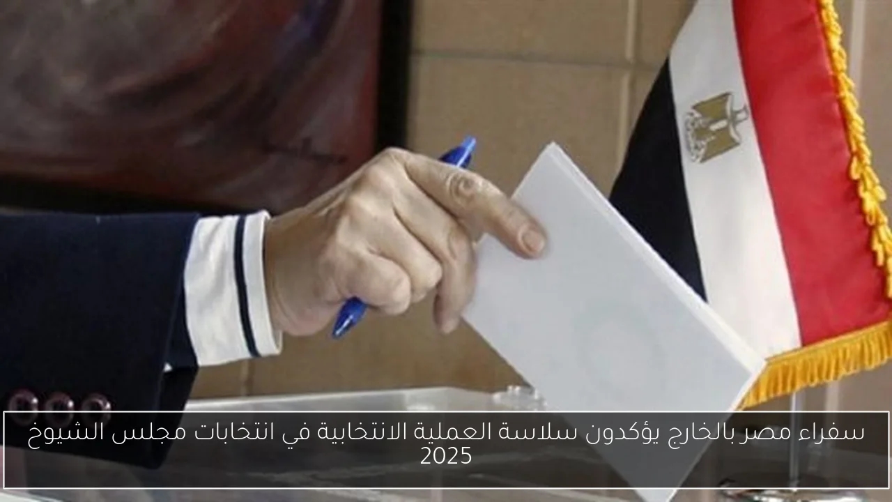 طه دسوقي يعبر عن تضامنه مع التيك توكر محمد عبد العاطي ويقدم له رسالة دعم