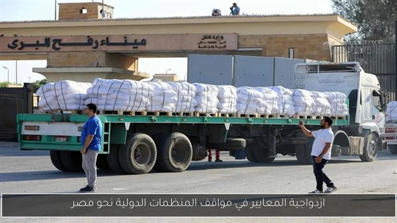 ازدواجية المعايير في مواقف المنظمات الدولية نحو مصر