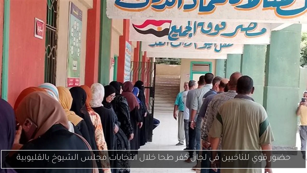 حضور قوي للناخبين في لجان كفر طحا خلال انتخابات مجلس الشيوخ بالقليوبية