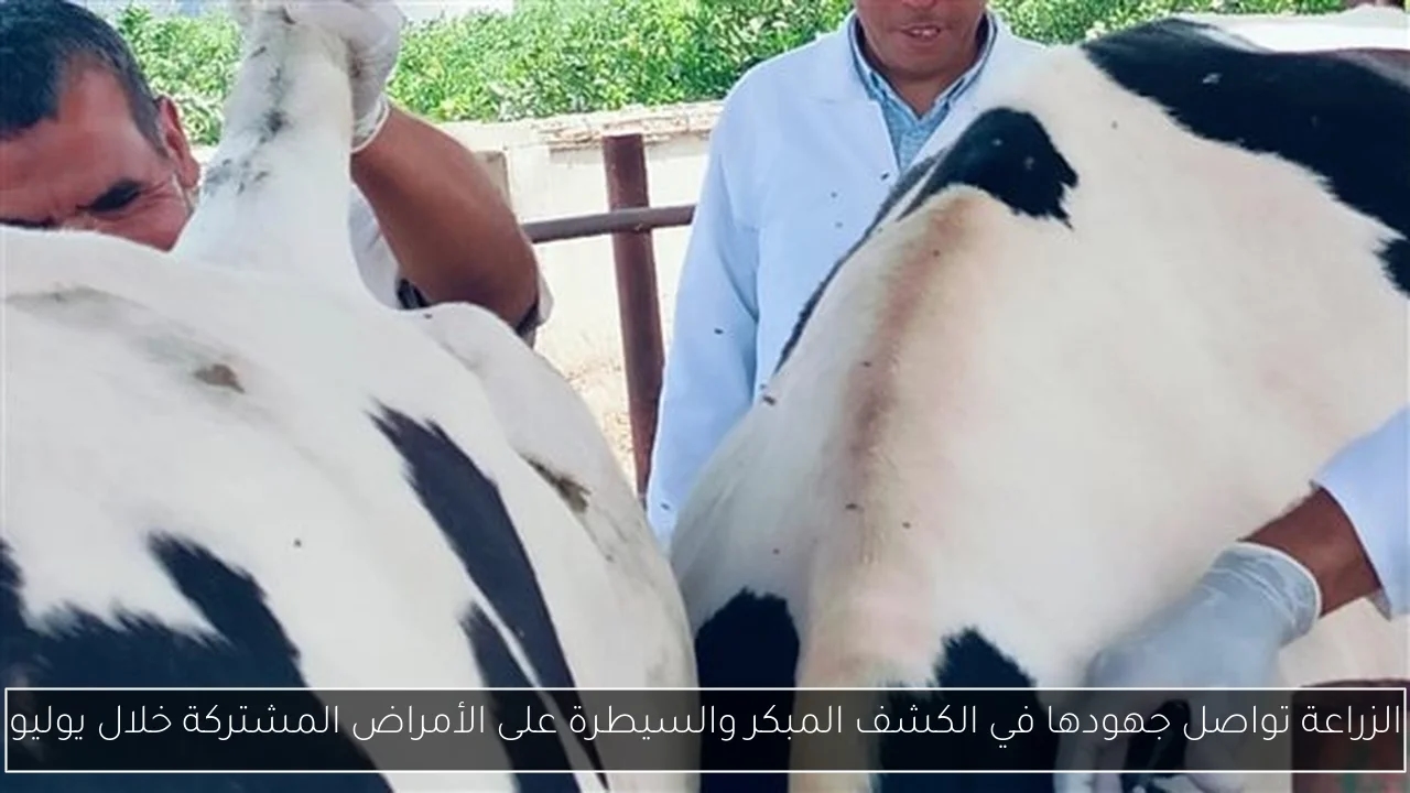 الزراعة تواصل جهودها في الكشف المبكر والسيطرة على الأمراض المشتركة خلال يوليو