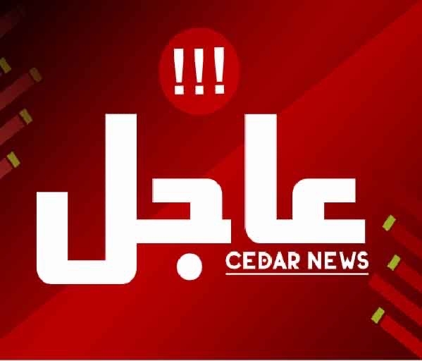 سوريا: عقد جديد مع شركة 'CMA CGM' لتشغيل ميناء اللاذقية