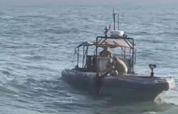 بالصور: الجيش ينقذ شخصَين من الغرق قبالة مرفأ صيدا