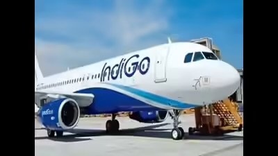 Emergency Landing in Patna, Eastern India: IndiGo Flight Returns After Bird Strike
