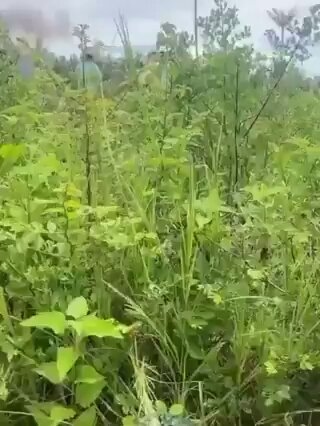 Video: Cambodia Shoots Down Thai F-16 Fighter Jet with Surface-to-Air Missile