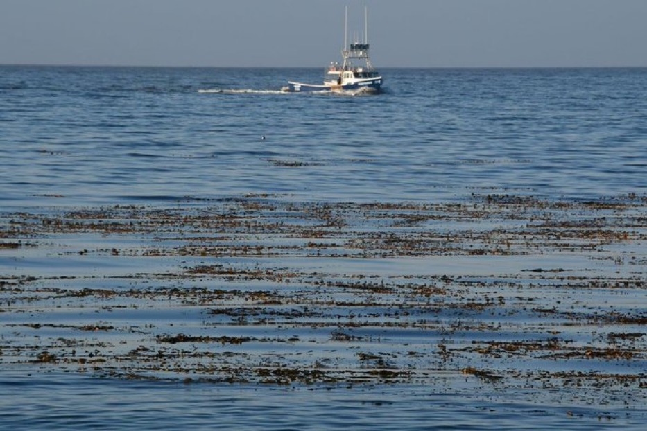 Three Killed in Monterey Plane Crash off California Coast