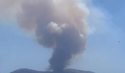 حريق هائل يلتهم الأحراج بين جزين ونيحا