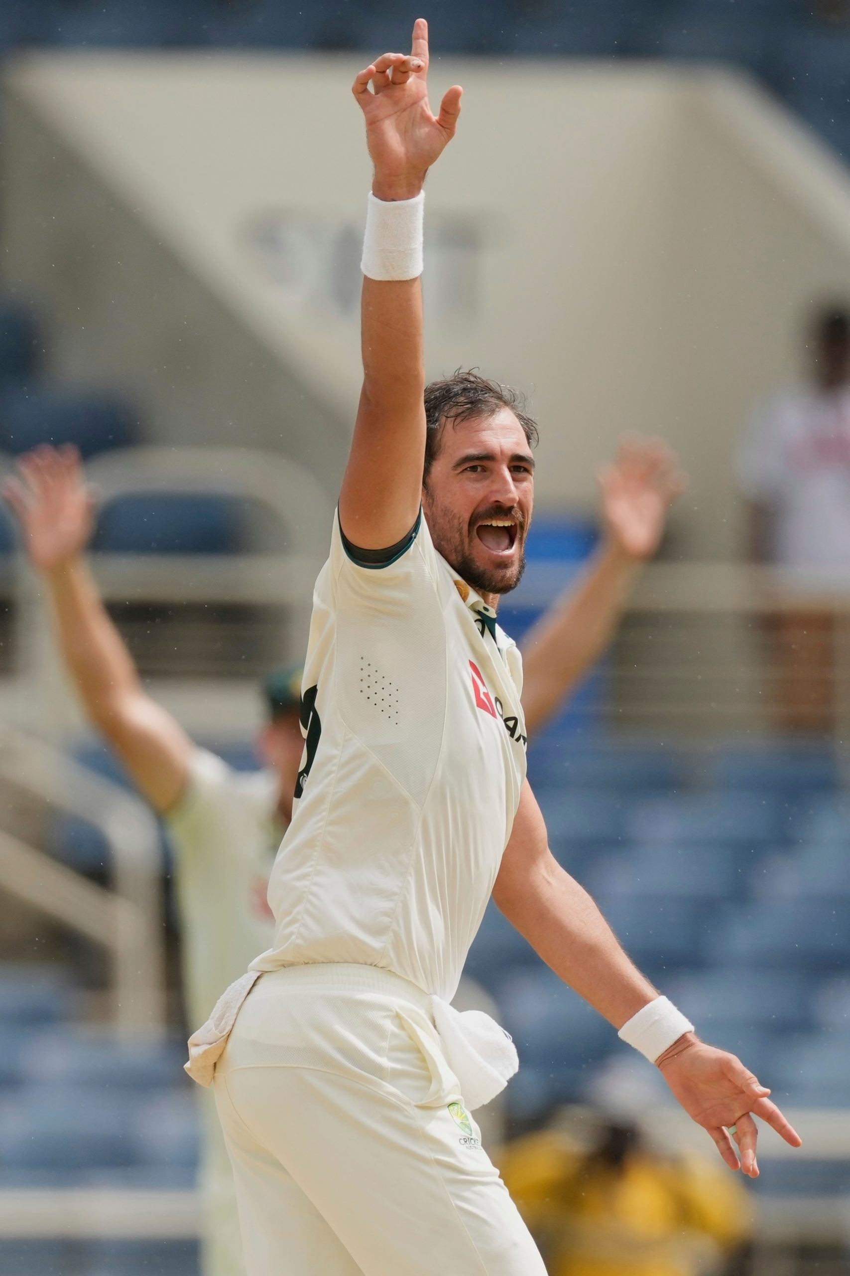 Top 5 wicket-taking pacers for Australia