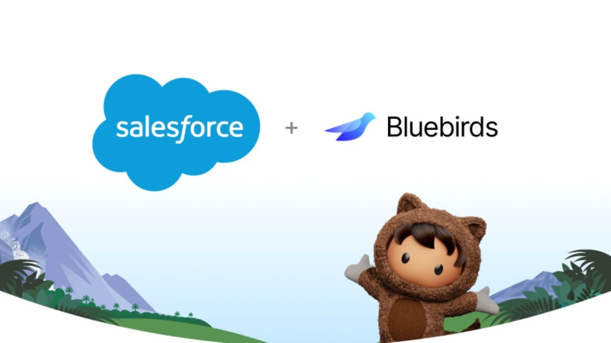 Salesforce Acquires Bluebirds