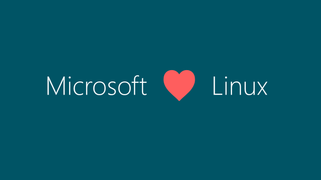 Microsoft Unveils New Terminal-Based Editor for Windows and Linux