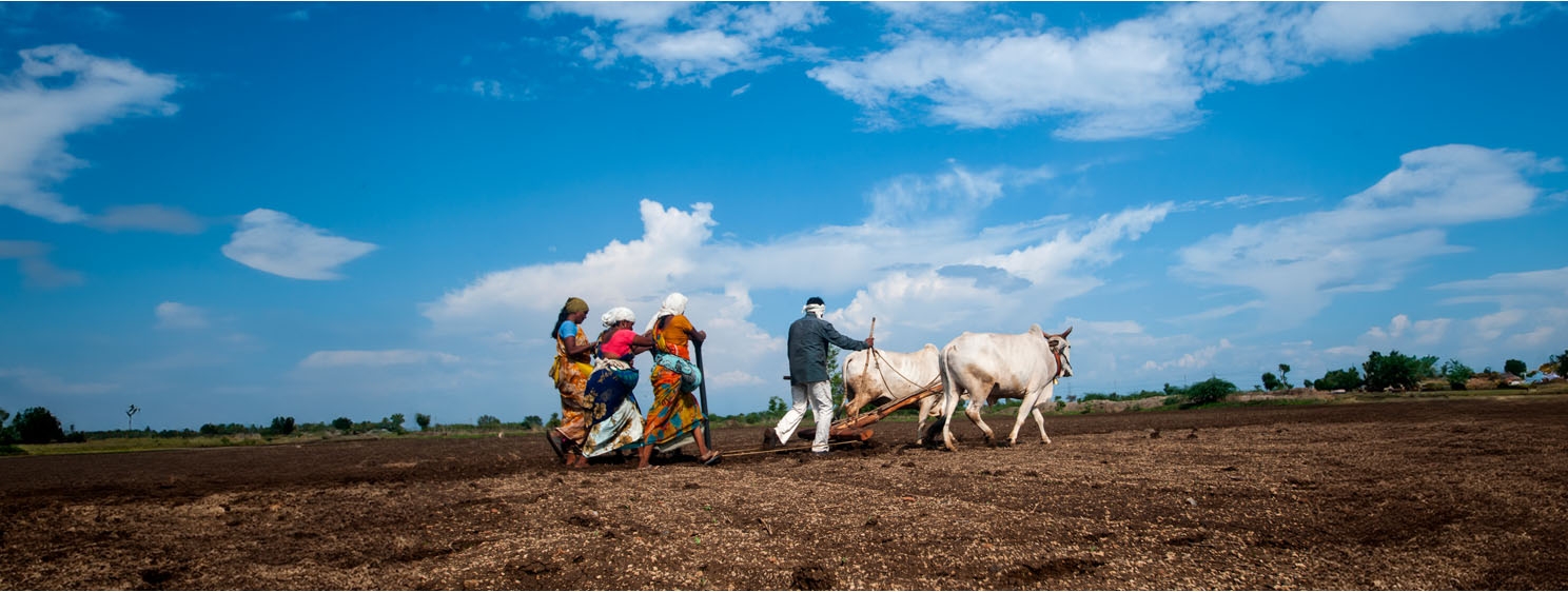 Landless farmers in India reap benefits of CBDC: report