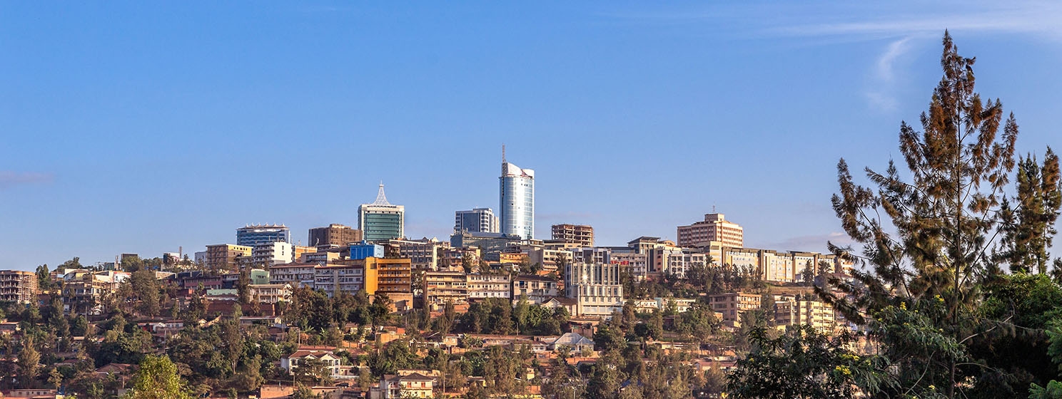 Rwanda's $200M digitalization project halfway done: official