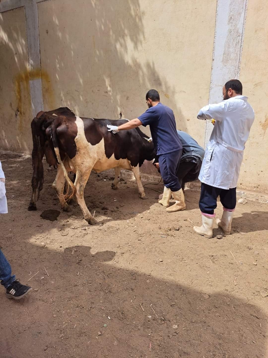 وزير الزراعة يتفقد المزارع والمشروعات الإنتاجية بدير مارمينا بالإسكندرية